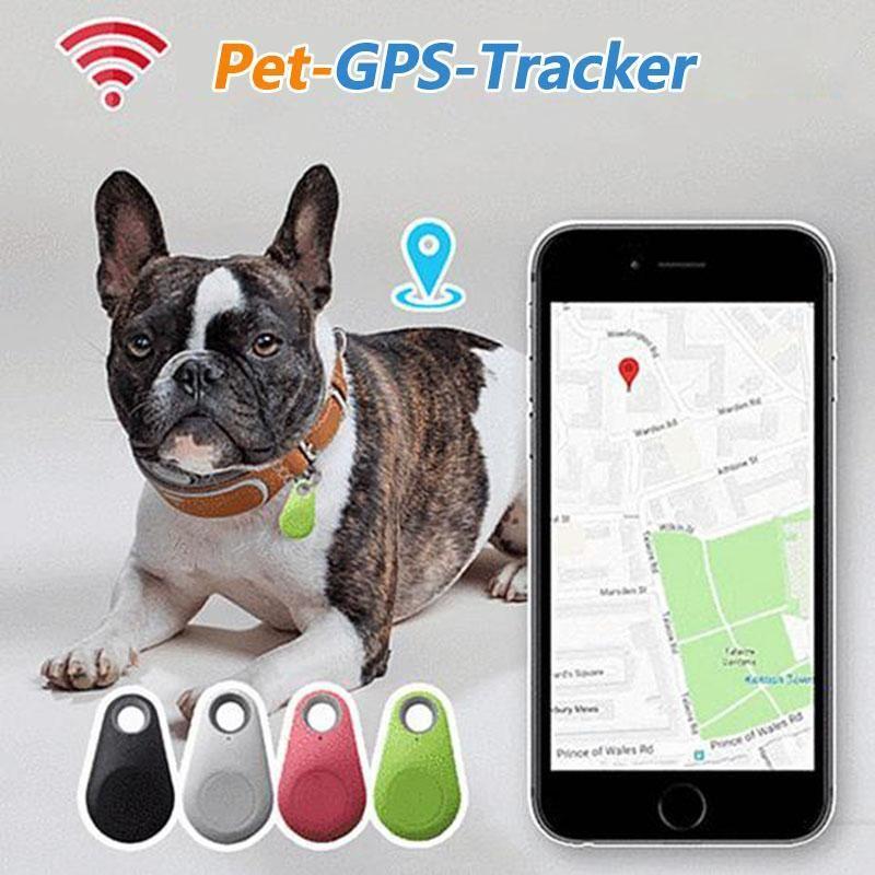 BowLift | Smart GPS tracker for pets