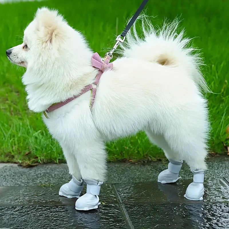 PawGuard •  Dog Waterproof Boots