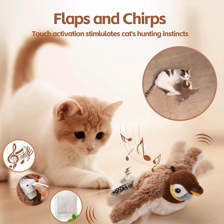BowLift | ChirpBuddy – Interactive Bird Toy for Cats