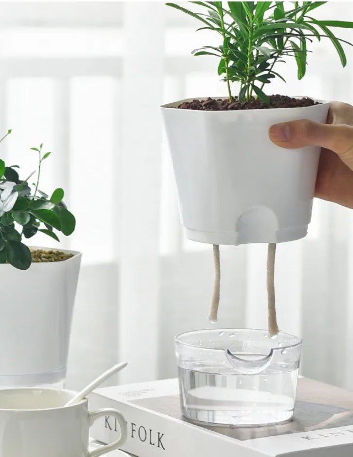 BowLift | Plant pot with water reservoir – Self-watering flower pot for houseplants