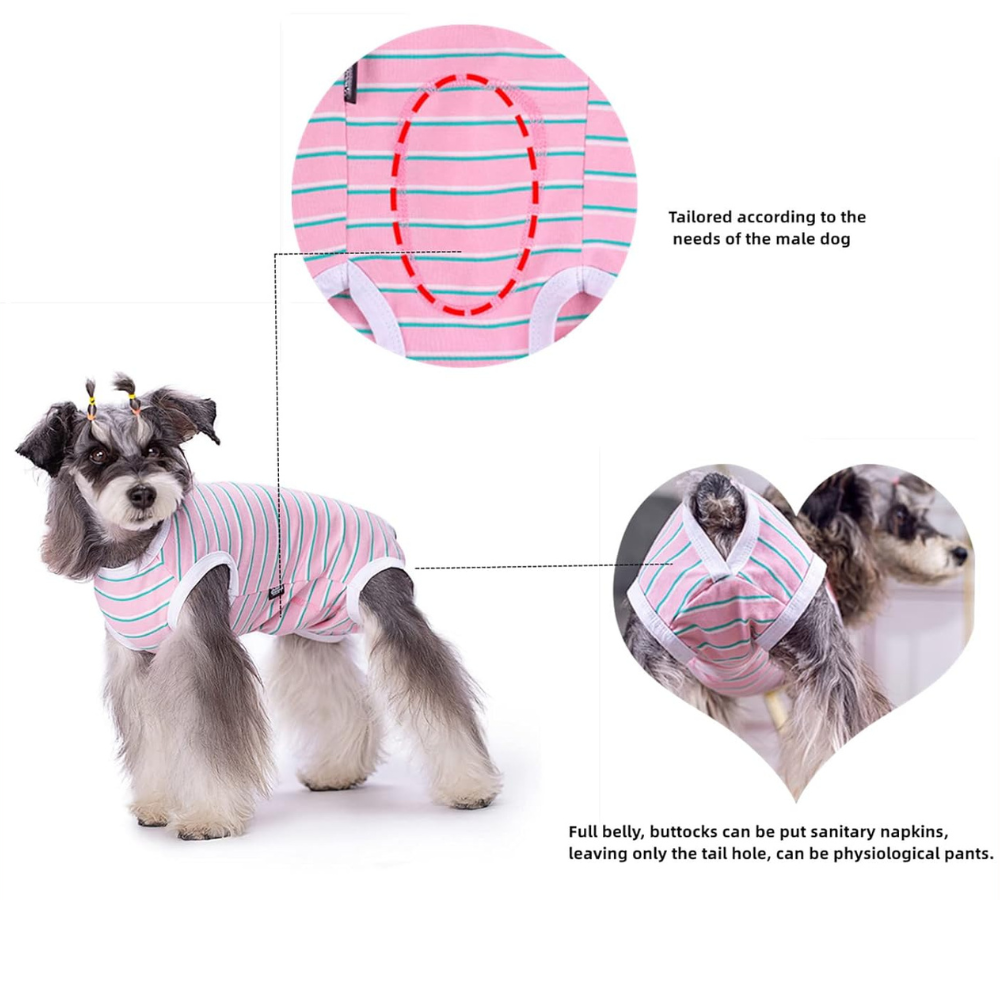 StripeGuard • Dog Recovery Suit for Post-Surgery Care