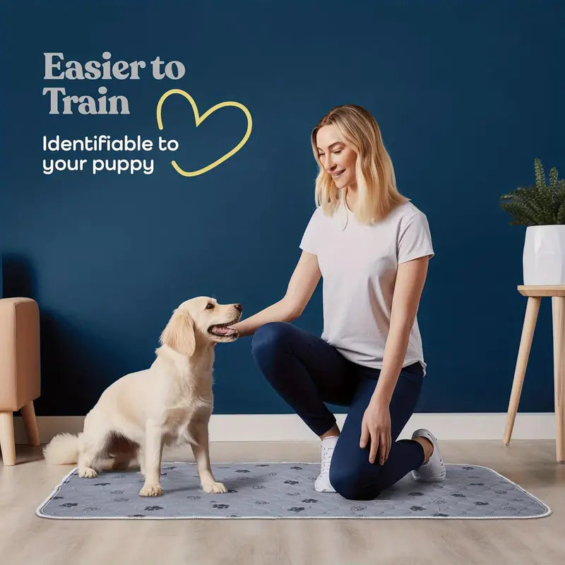 EcoPaws • Reusable Dog Training Pads