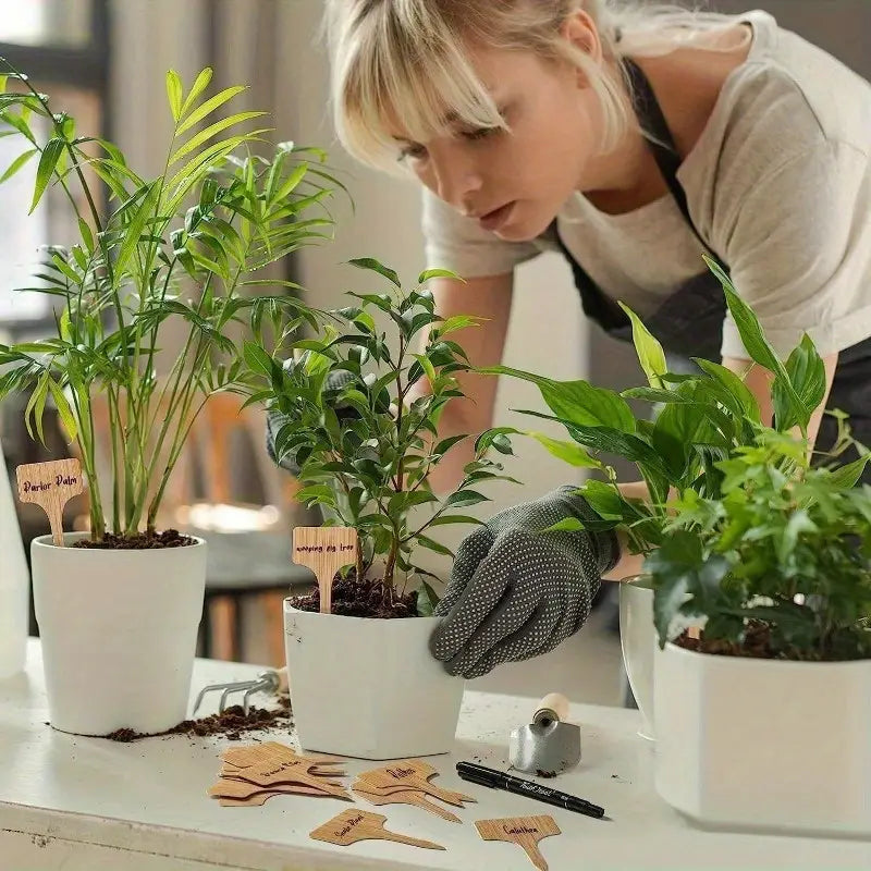 BowLift | Plant labels made of wood for garden and balcony – Rewritable labels for herbs and plants