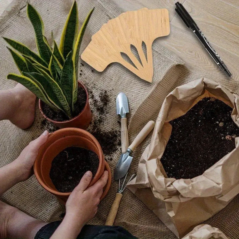 BowLift | Plant labels made of wood for garden and balcony – Rewritable labels for herbs and plants