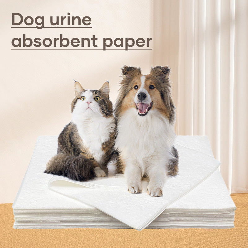 BowLift | Pet Absorbent Paper (50 pieces)