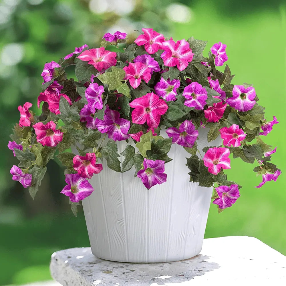BowLift | Artificial Spring Petunias made of Silk – Perfect for Calm Home Accents