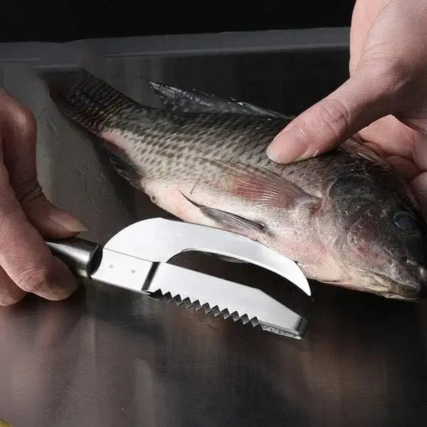 BowLift | 3-in-1 Fish scaler made of stainless steel