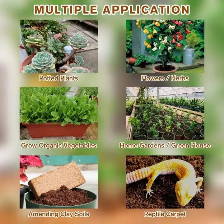BowLift | Premium Organic Coconut Soil Brick – Promote Natural Plant Growth