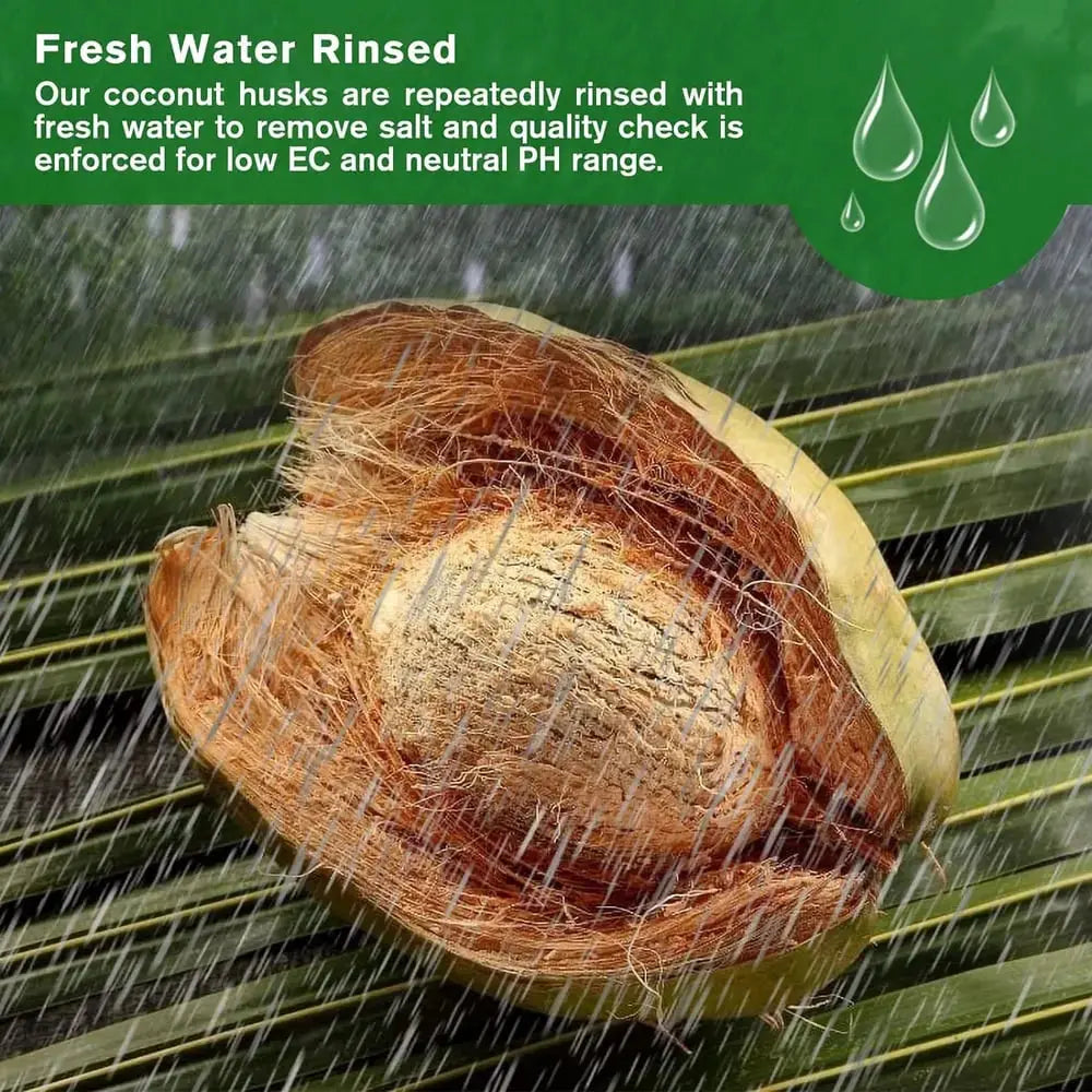 BowLift |  | Premium Organic Coconut Soil Brick – Promote Natural Plant Growth