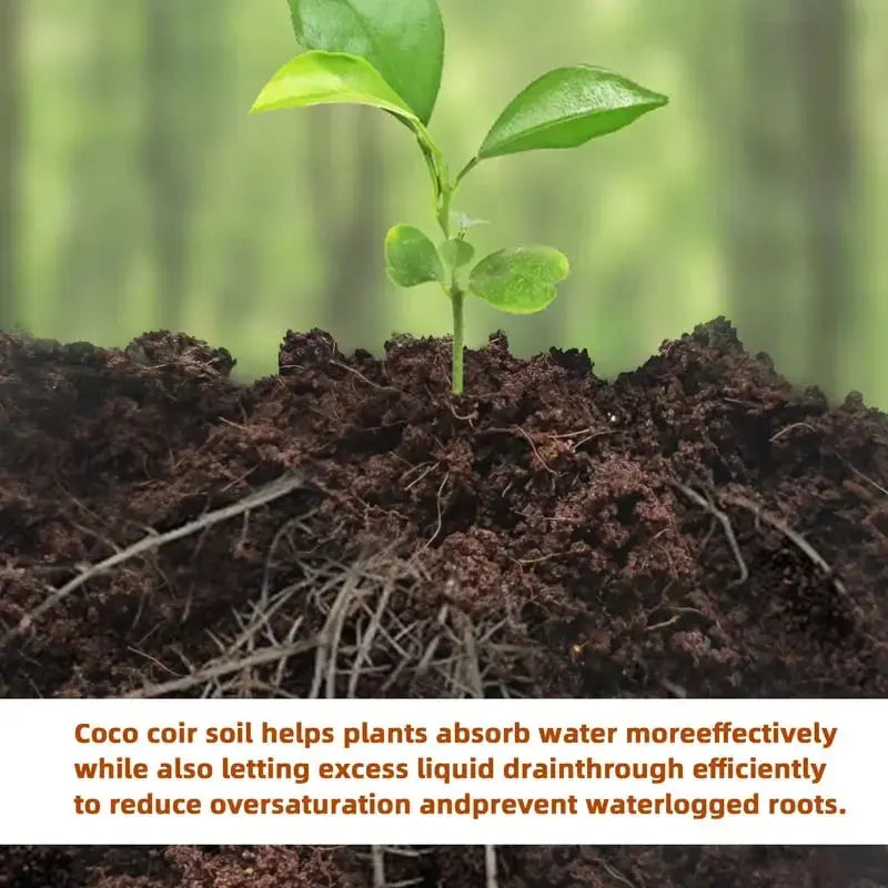 BowLift |  | Premium Organic Coconut Soil Brick – Promote Natural Plant Growth