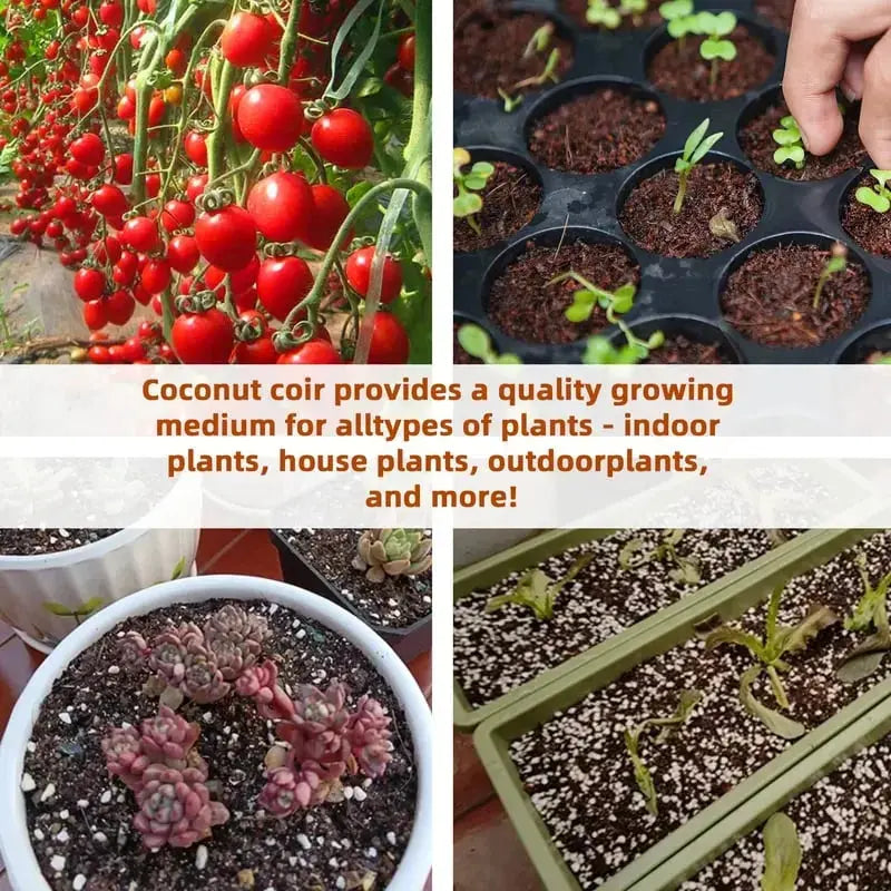 BowLift |  | Premium Organic Coconut Soil Brick – Promote Natural Plant Growth