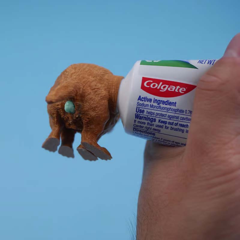 BowLift | Funny Toothpaste Dispenser