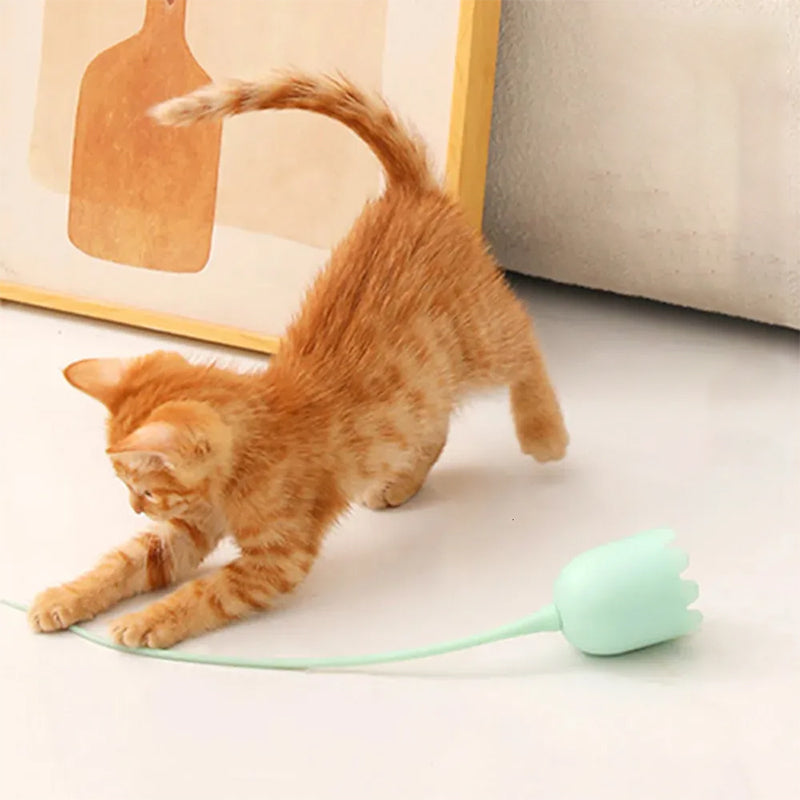 BowLift | Indoor Cat Toy