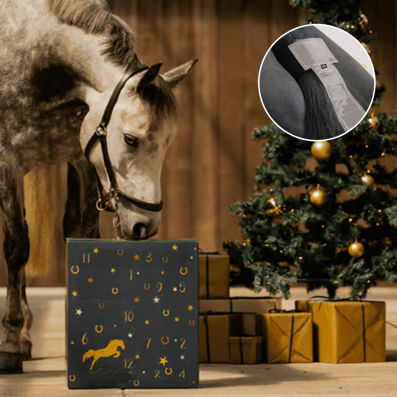 BowLift | Forelock and Fringe Advent Calendar 2024