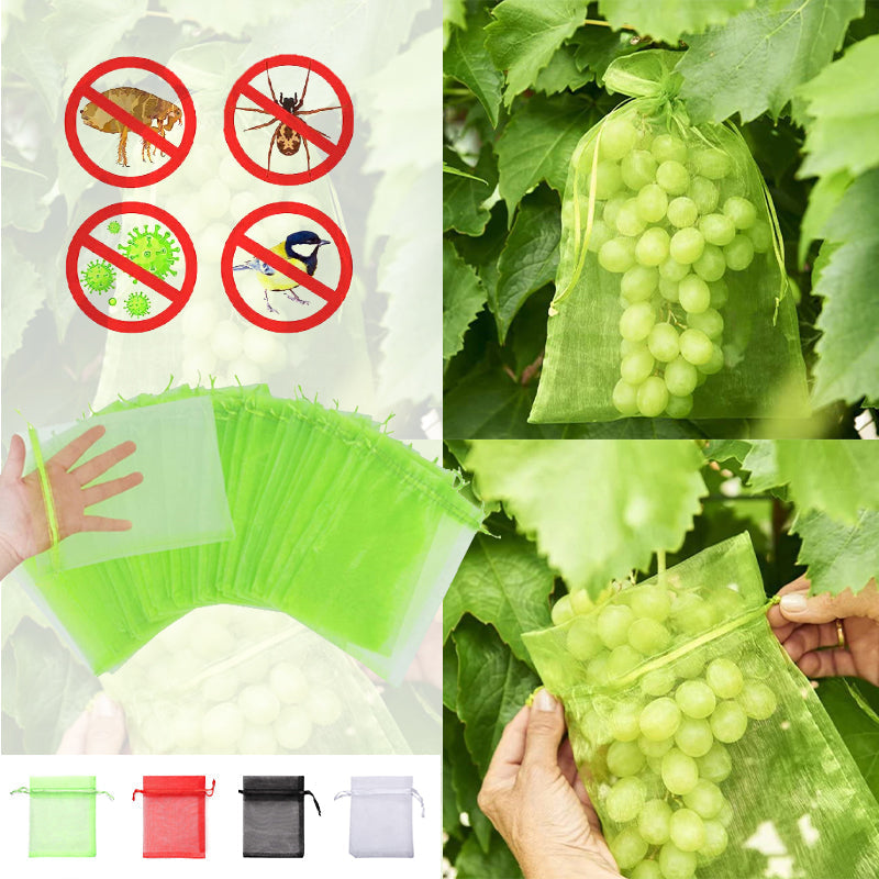 BowLift | Fruit Protection Bag (100 PCS)