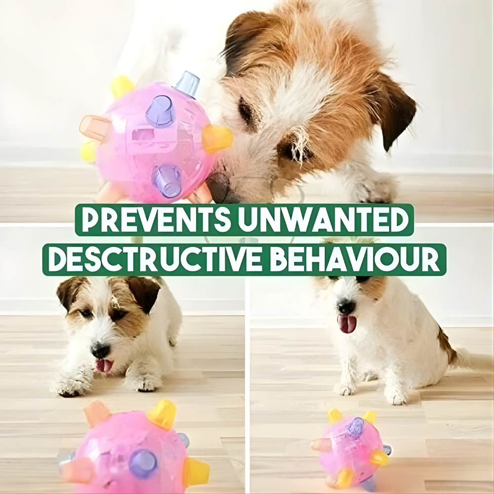 BowLift | Dog Ball Toy Interactive LED Bouncing Rubber Light Up Play Ball