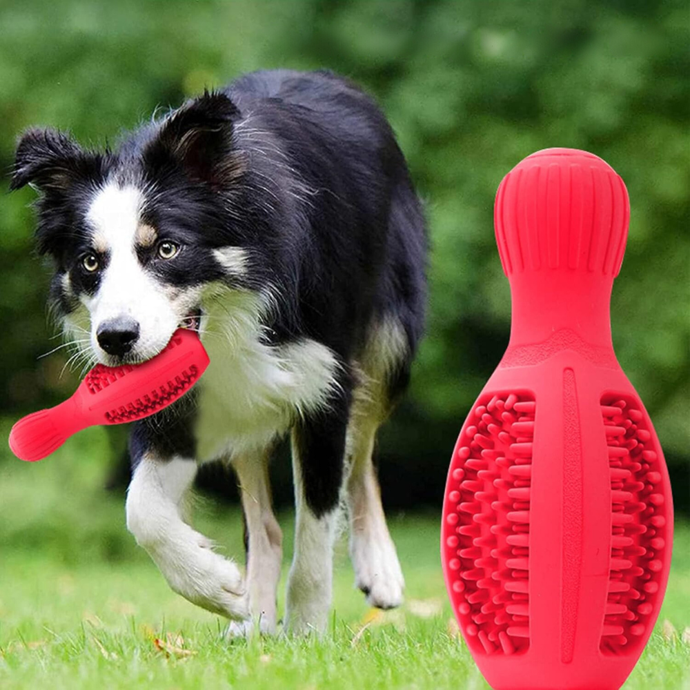 ChewToy •  Bowling Ball Shaped Dog Chew Toy