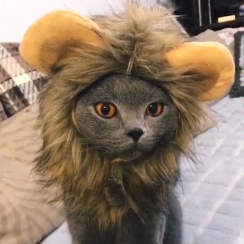 BowLift | Pet Simulation Lion Mane