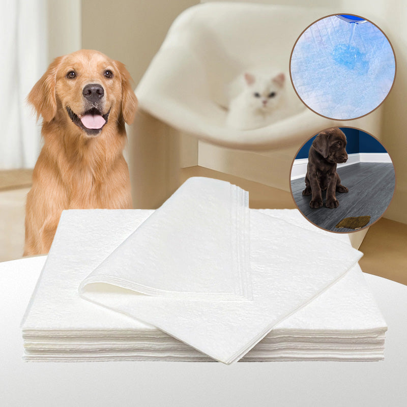 BowLift | Pet Absorbent Paper (50 pieces)