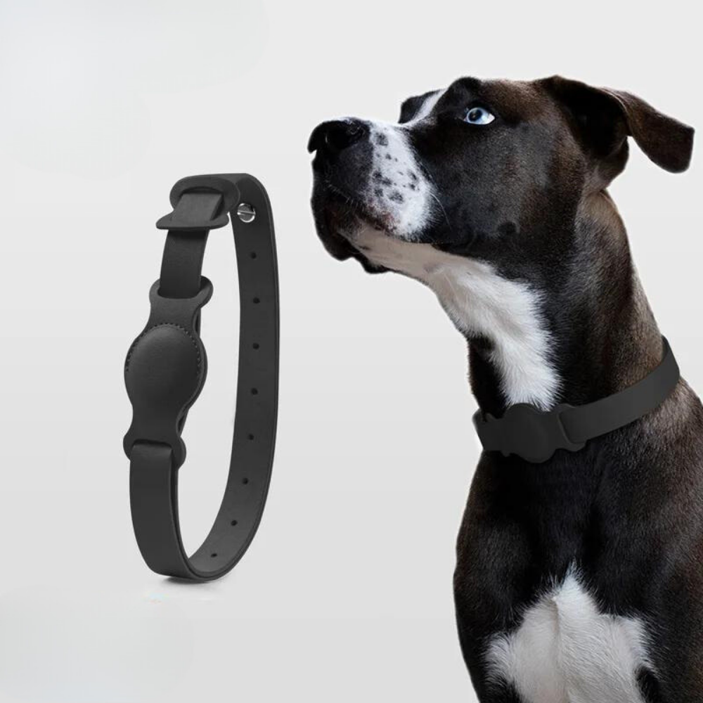 LuxeLeather • AirTag Dog Collar