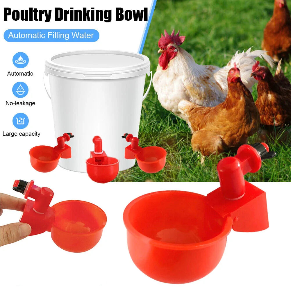 BowLift | Automatic Poultry Drinker