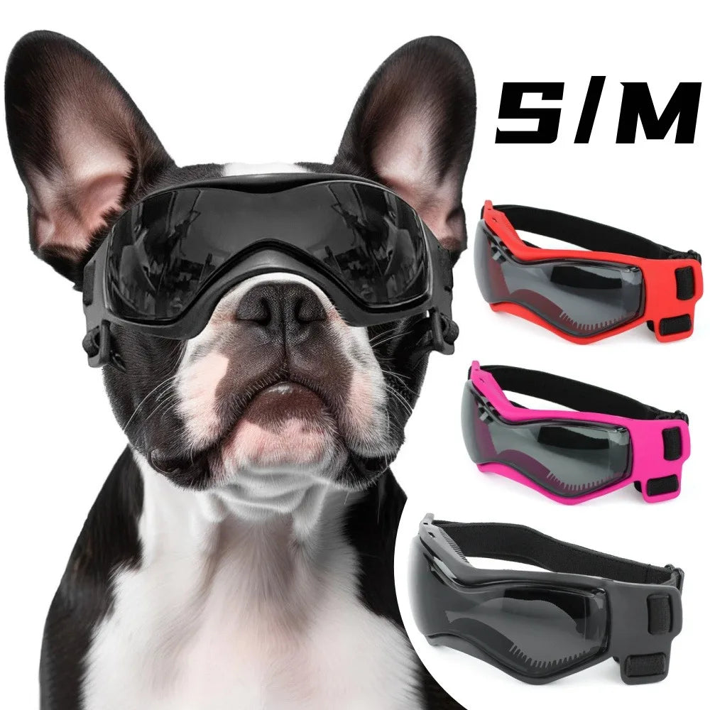 BowLift | Adjustable Dog Goggles for Small and Medium Breeds