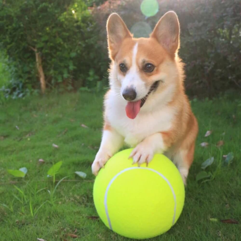 MegaFetch • Dog Tennis Ball