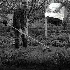 BowLift | Cordless Grass Trimmer with Adjustable Cutting Width for Lawn Care & Garden Maintenance