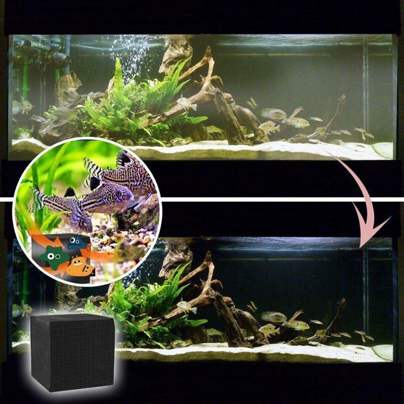 BowLift | Eco-Aquarium Water Purifier Cube