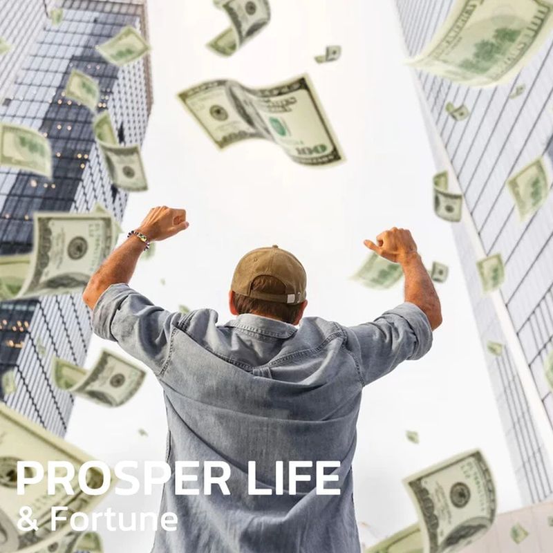 BowLift | FengShui Pi Xiu Amethyst Bracelet