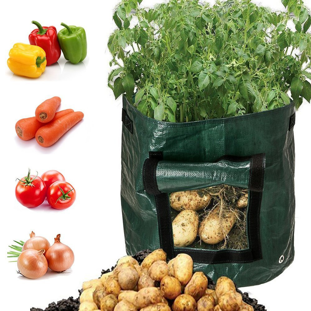 BowLift | Planting bag for potatoes – Reusable and with viewing window