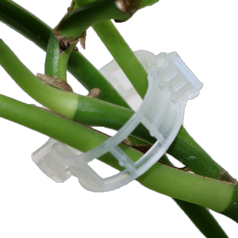 BowLift | Plant support clip for climbing plants – Flexible holder for plant stems