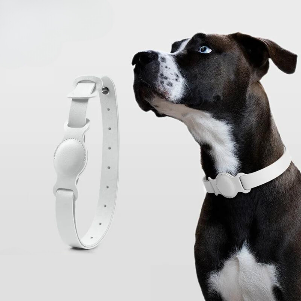 LuxeLeather • AirTag Dog Collar