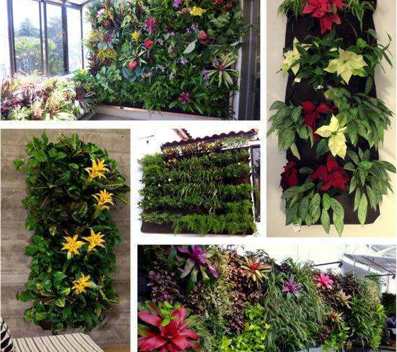 BowLift | Plant wall bags for garden – Vertical planter for indoors and outdoors
