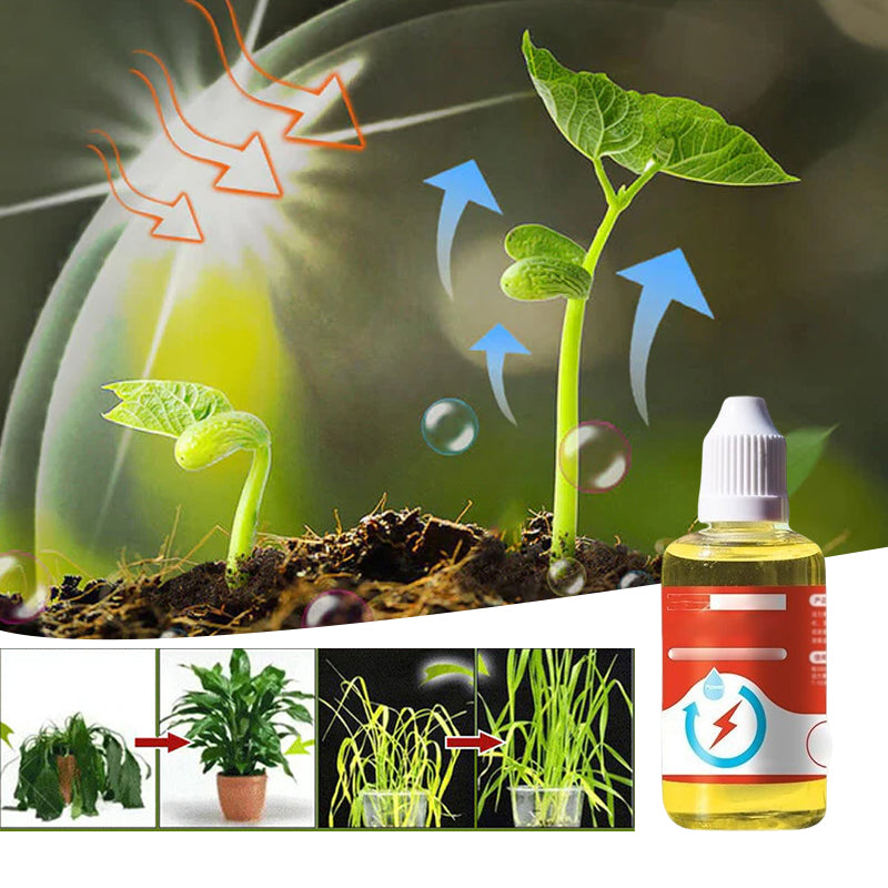 BowLift | Plant Growth Enhancer Supplement
