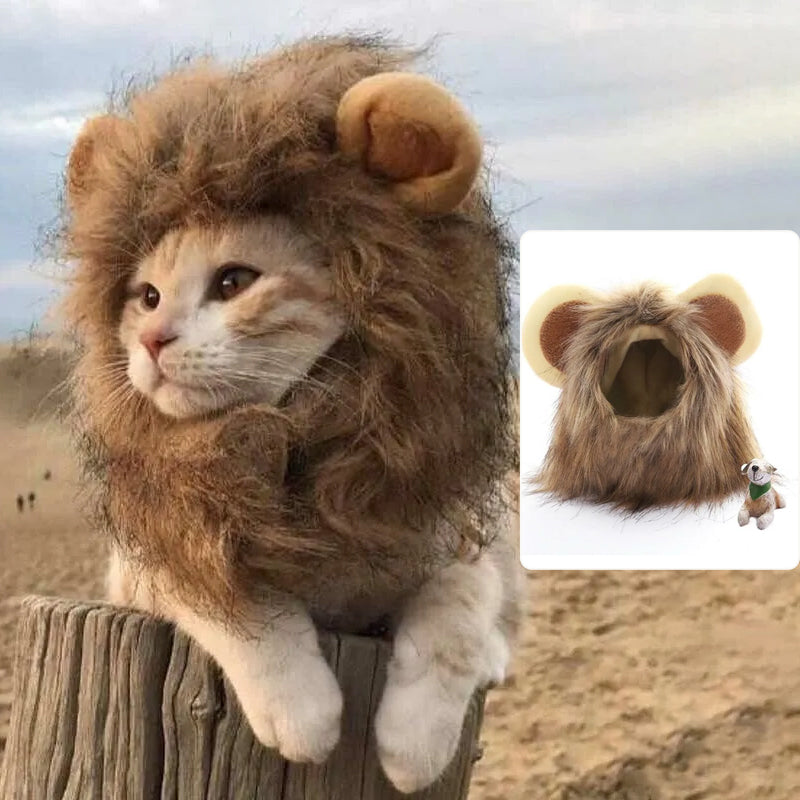 BowLift | Pet Simulation Lion Mane