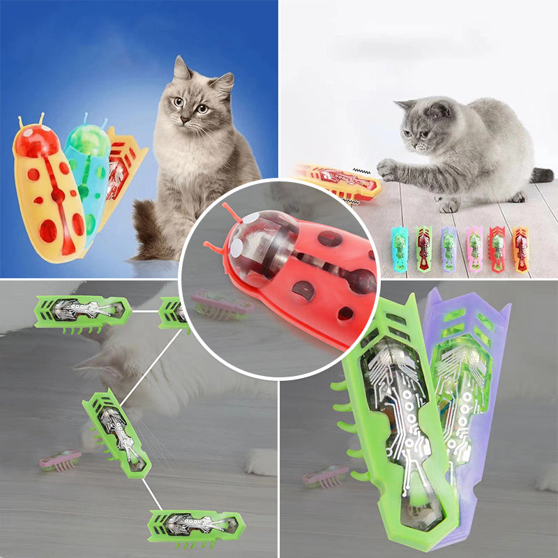 BowLift | Pet Electric Insect Toy