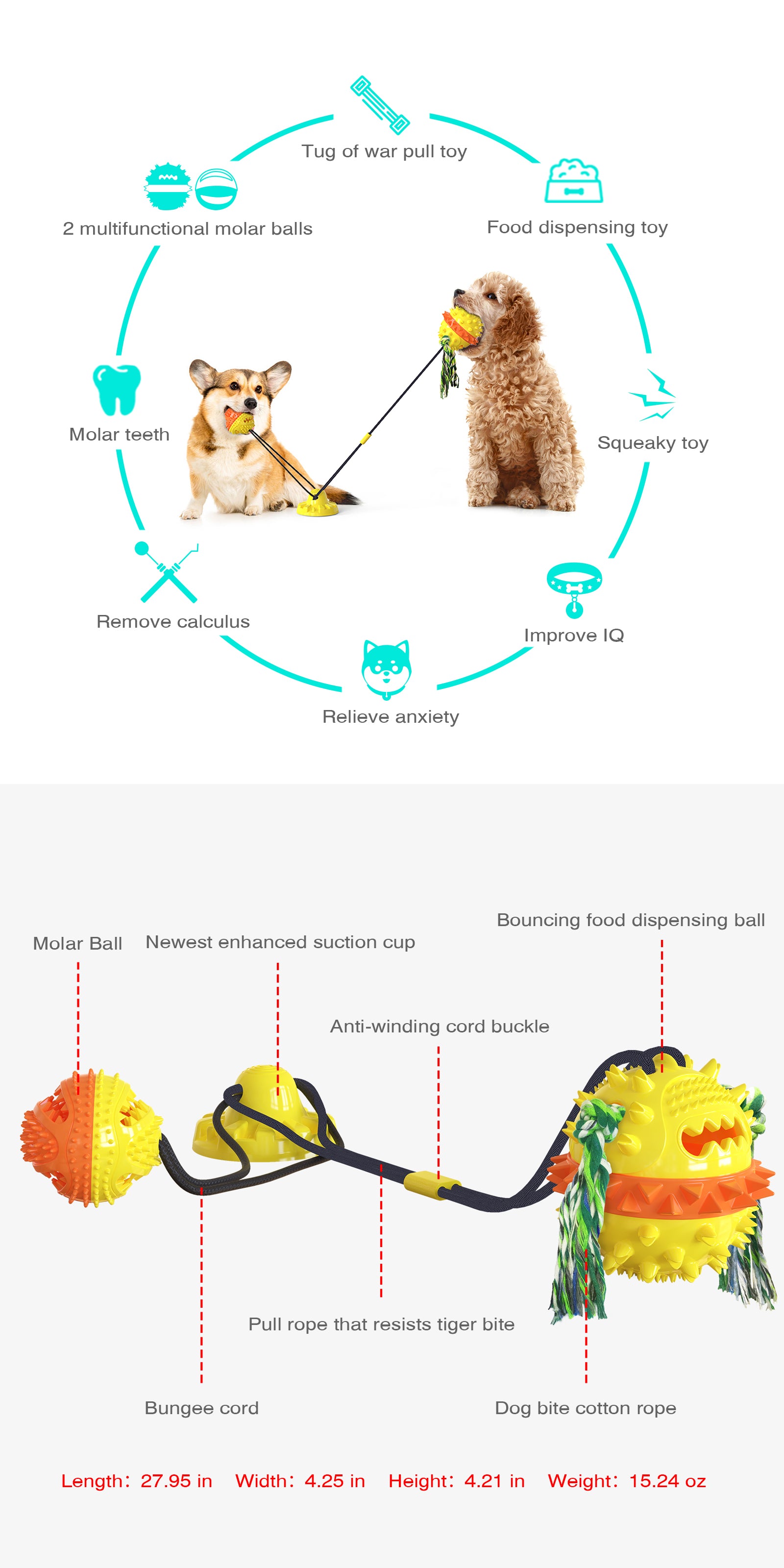 Enhanced Suction Cup Rope Ball Type B – Double Ball Chew Toy for Dogs