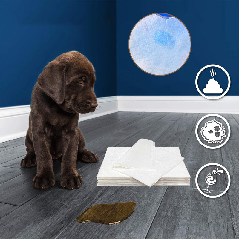 BowLift | Pet Absorbent Paper (50 pieces)