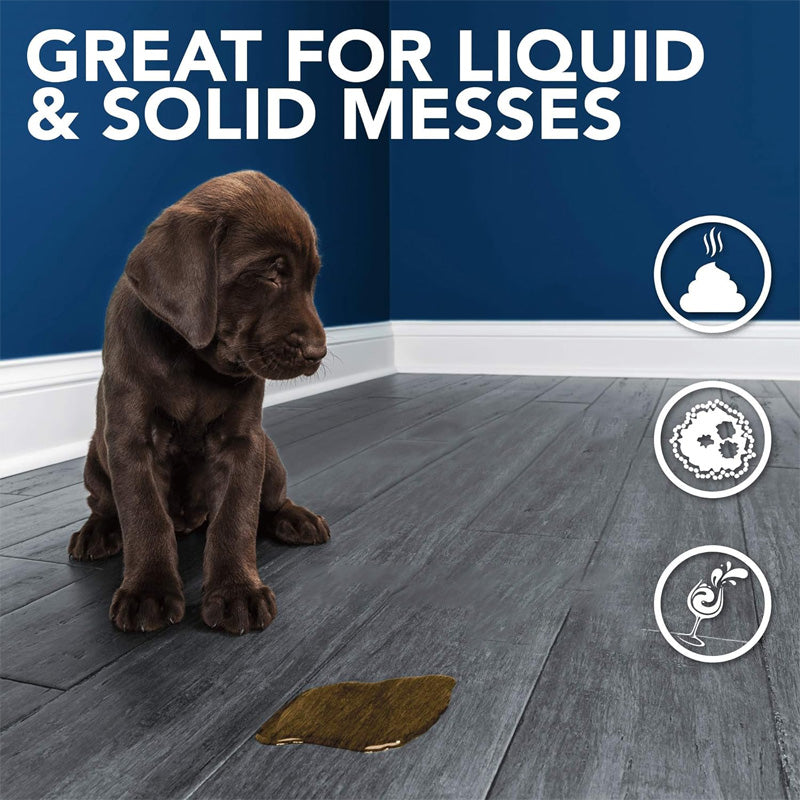 BowLift | Pet Absorbent Paper (50 pieces)