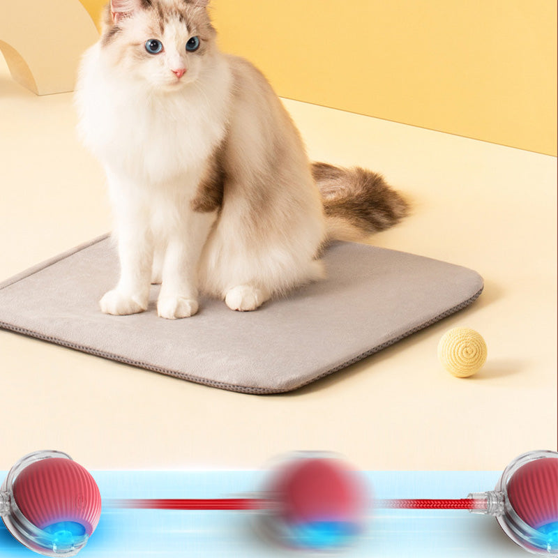 BowLift | Indoor Cat interactive ball