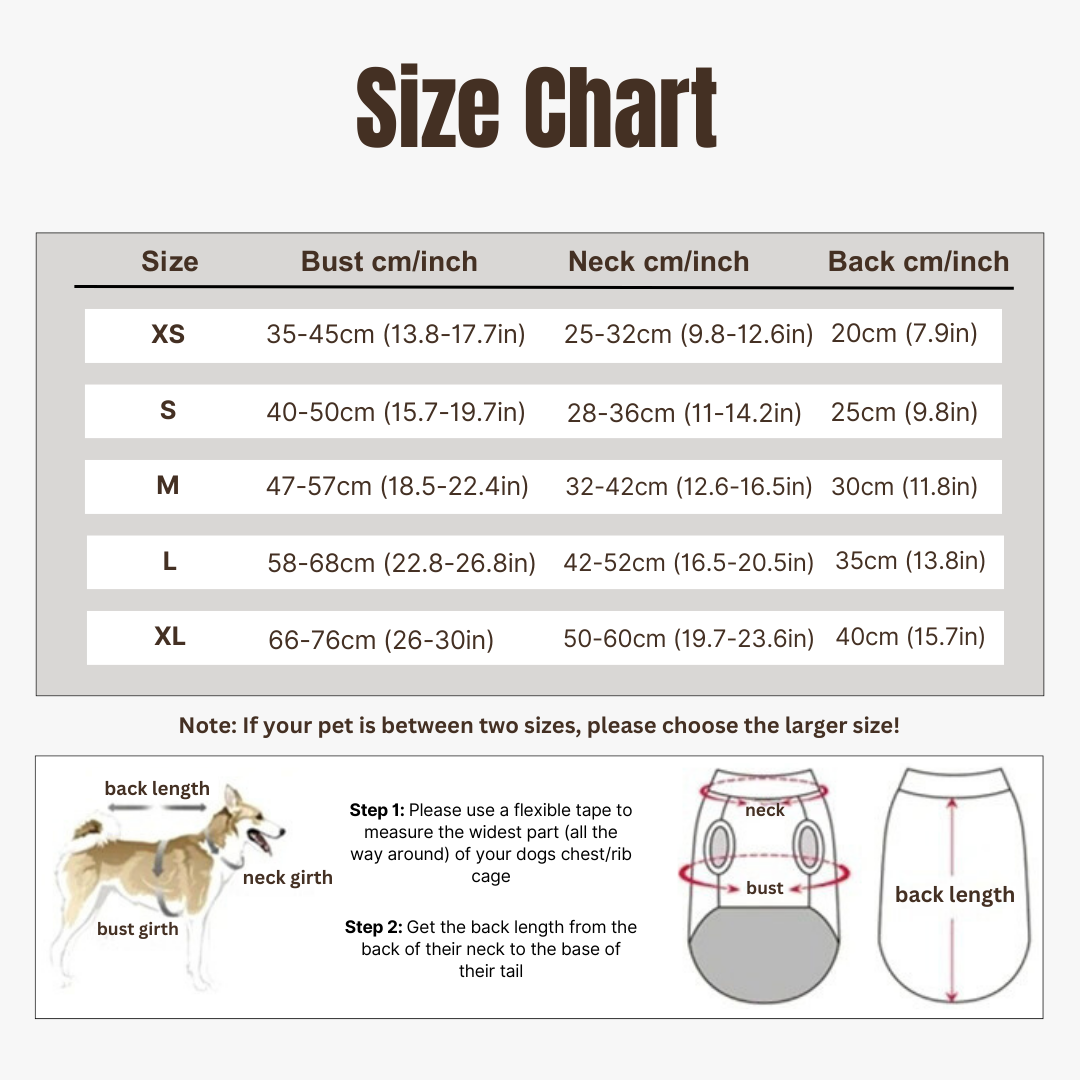 BowLift | Dog Life Jacket | Enhanced Buoyancy, Adjustable Fit & Quick-Release for Water Adventures | Floating Vest for Dogs