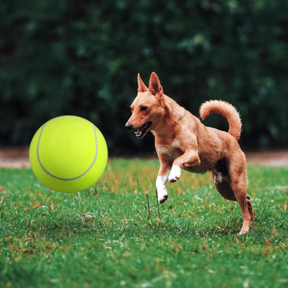 MegaFetch • Dog Tennis Ball