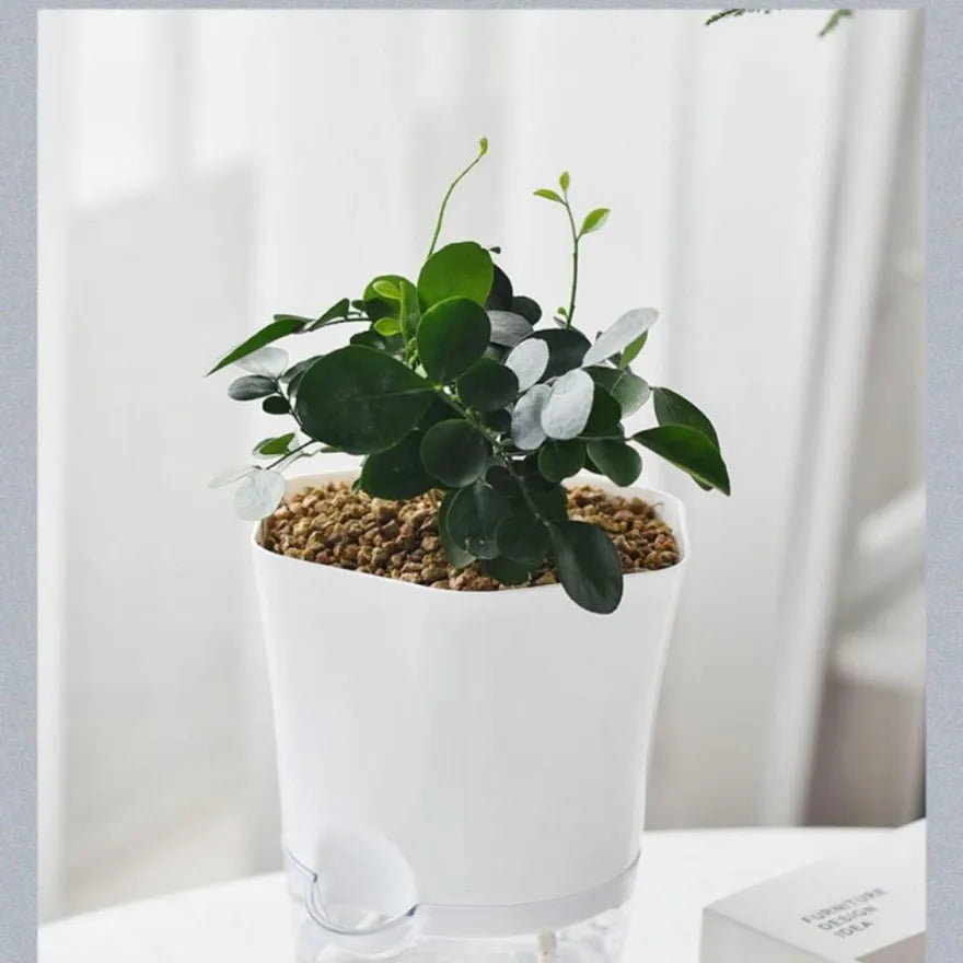 BowLift | Plant pot with water reservoir – Self-watering flower pot for houseplants