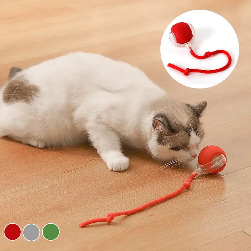 BowLift | Interactive Cat Toy Ball for Indoor Use