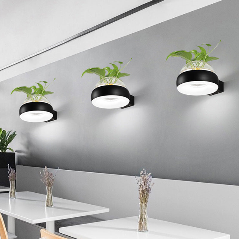 BowLift | Clear Glass Dome Wall Lighting Industry 1 Bulb Bedroom LED Wall Light Lamp in Black/Grey/White with Plant Holder