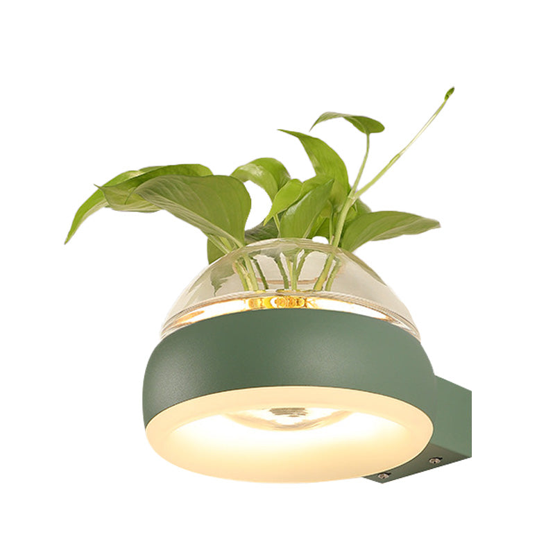 BowLift | Clear Glass Dome Wall Lighting Industry 1 Bulb Bedroom LED Wall Light Lamp in Black/Grey/White with Plant Holder