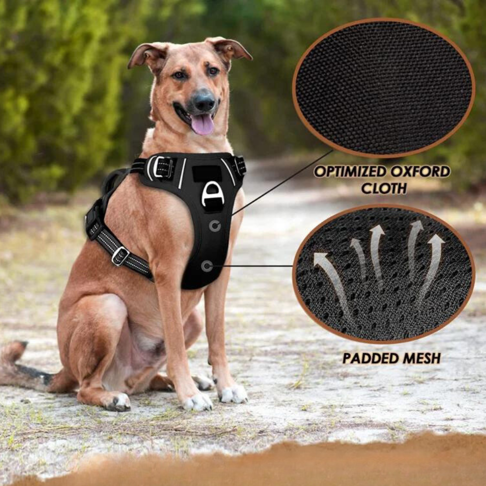 PowerHarness •  No Pull Dog Harness