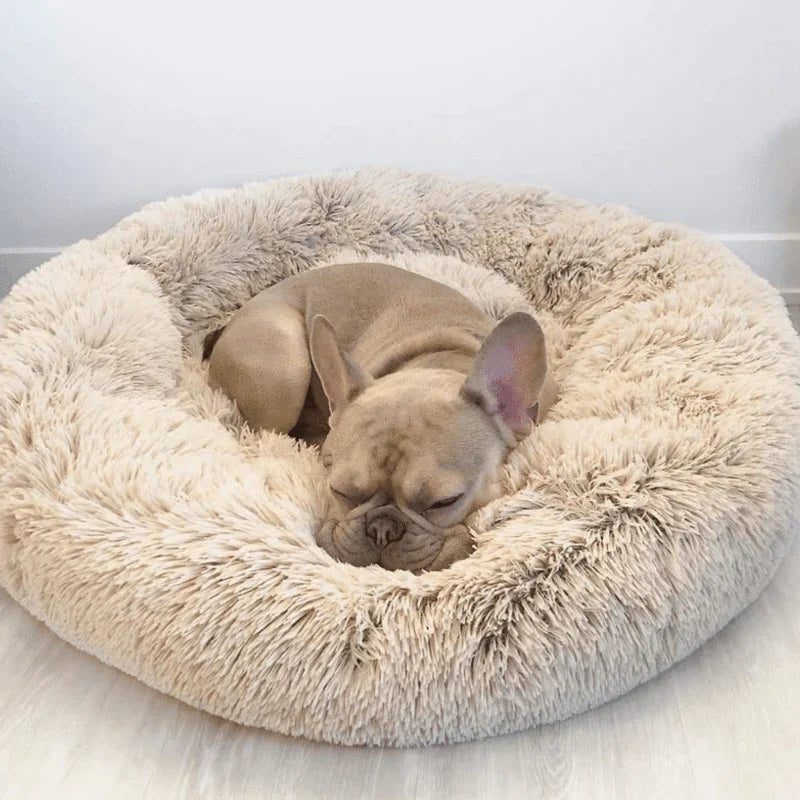 BowLift | Calming Dog Bed
