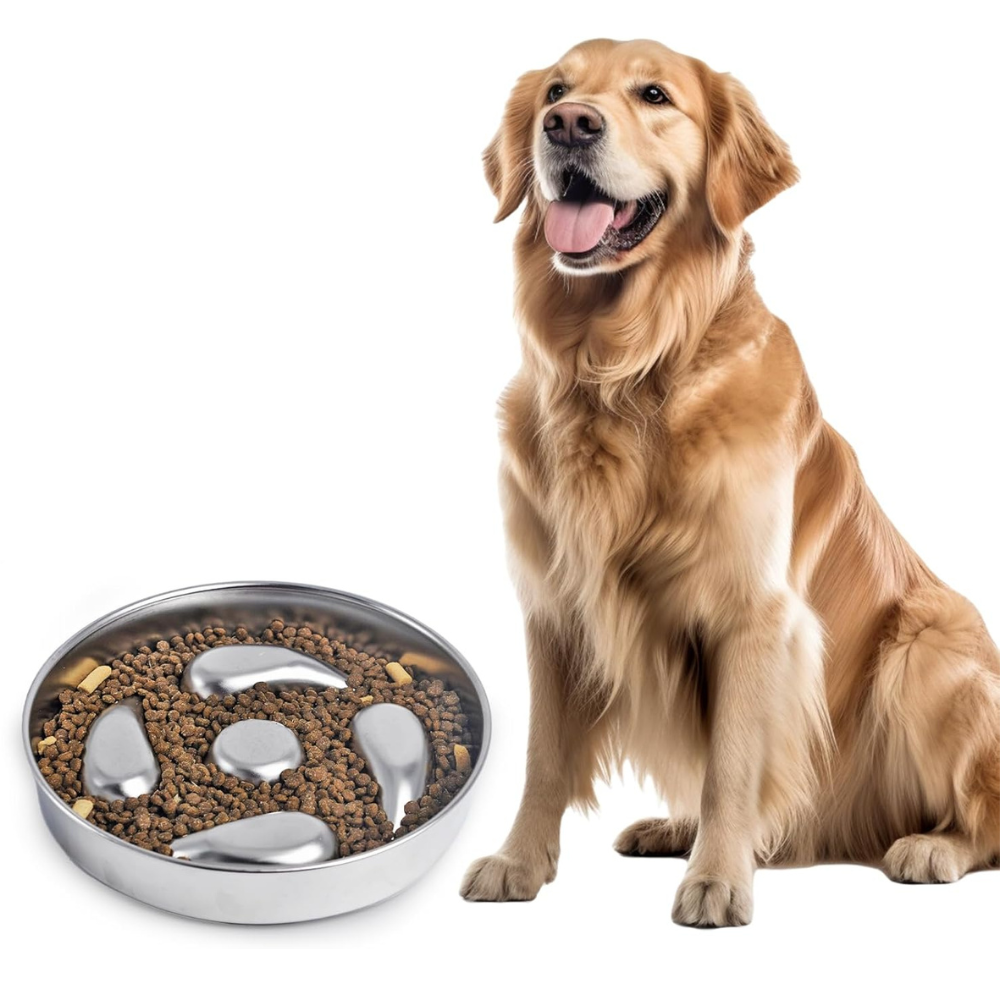 HealthyPaws • Dog Feeding Bowl Slow